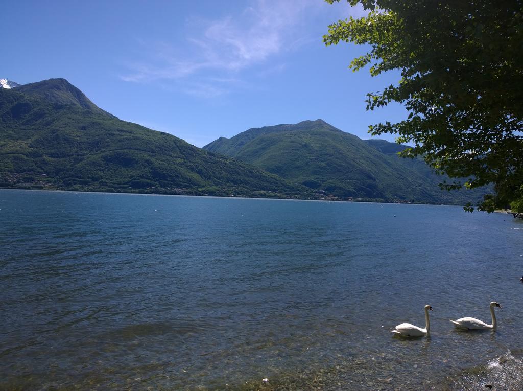 Appartamento Venanzio! Pianello Del Lario Esterno foto